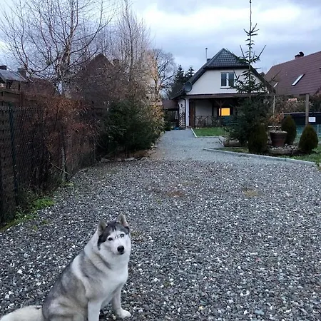 Dom Tkacki - - - Jacuzzi 库多瓦-兹德鲁伊