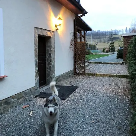 Dom Tkacki Pokoje Gościnne Jacuzzi w Ogrodzie Kudowa-Zdrój Apartamento *