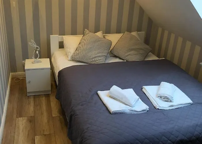 Apartament Dom Tkacki Gościnne Jacuzzi W Ogrodzie Kudowa-zdrój Kudowa-Zdrój
