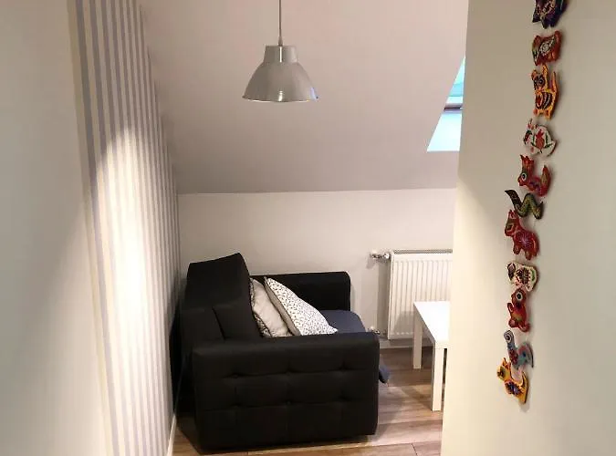 Apartment Dom Tkacki Pokoje Goscinne Jacuzzi W Ogrodzie Kudowa-Zdroj *