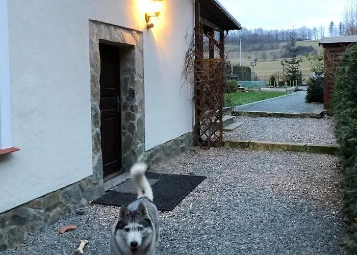 Dom Tkacki Gościnne Jacuzzi W Ogrodzie Kudowa-zdrój Apartament *