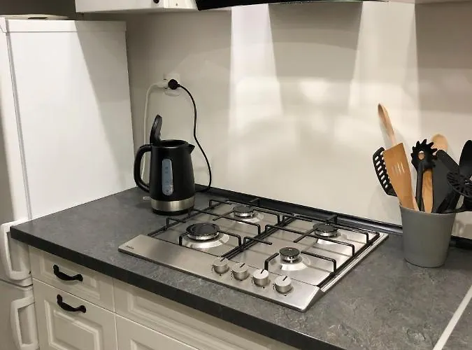 Dom Tkacki Gościnne Jacuzzi W Ogrodzie Kudowa-zdrój Apartament *